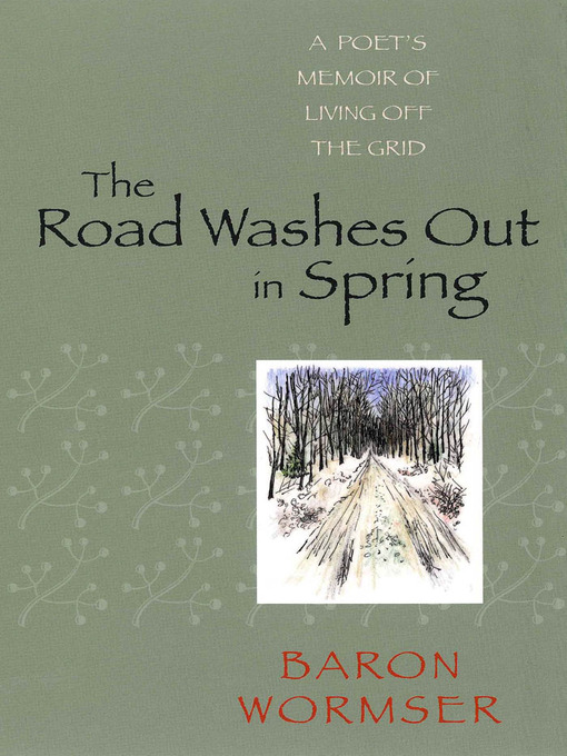 Title details for The Road Washes Out in Spring by Baron Wormser - Available